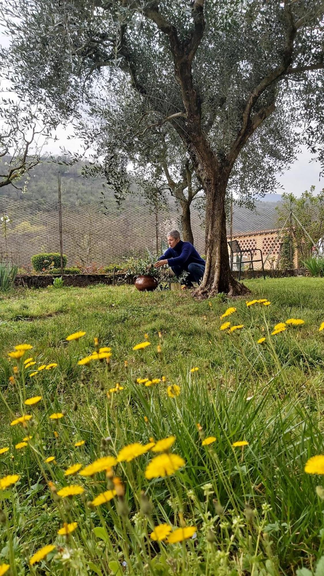 Corte Martinola Bed&Breakfast In Franciacorta Ome Luaran gambar